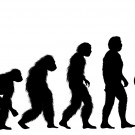 Evolution of a Character