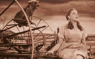 Lights-Camera-Study-Unforgettable-Movie-Scenes-Every-Actor-Should-Analyze-The-Wizard-of-Oz