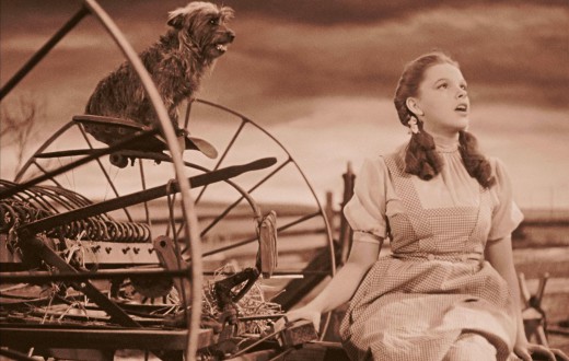Lights-Camera-Study-Unforgettable-Movie-Scenes-Every-Actor-Should-Analyze-The-Wizard-of-Oz